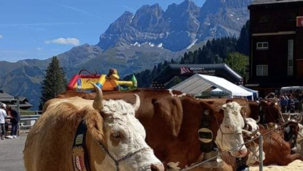 Montagne et tradition aux Crosets